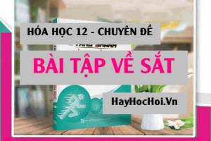Bài tập Sắt (Fe) tác dụng với axit HNO3 và H2SO4 và cách giải - Hóa 12 chuyên đề